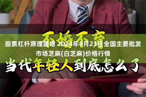 股票杠杆原理是啥 2024年9月23日全国主要批发市场芝麻(白芝麻)价格行情