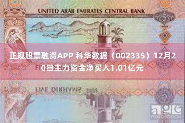 正规股票融资APP 科华数据（002335）12月20日主力资金净买入1.01亿元